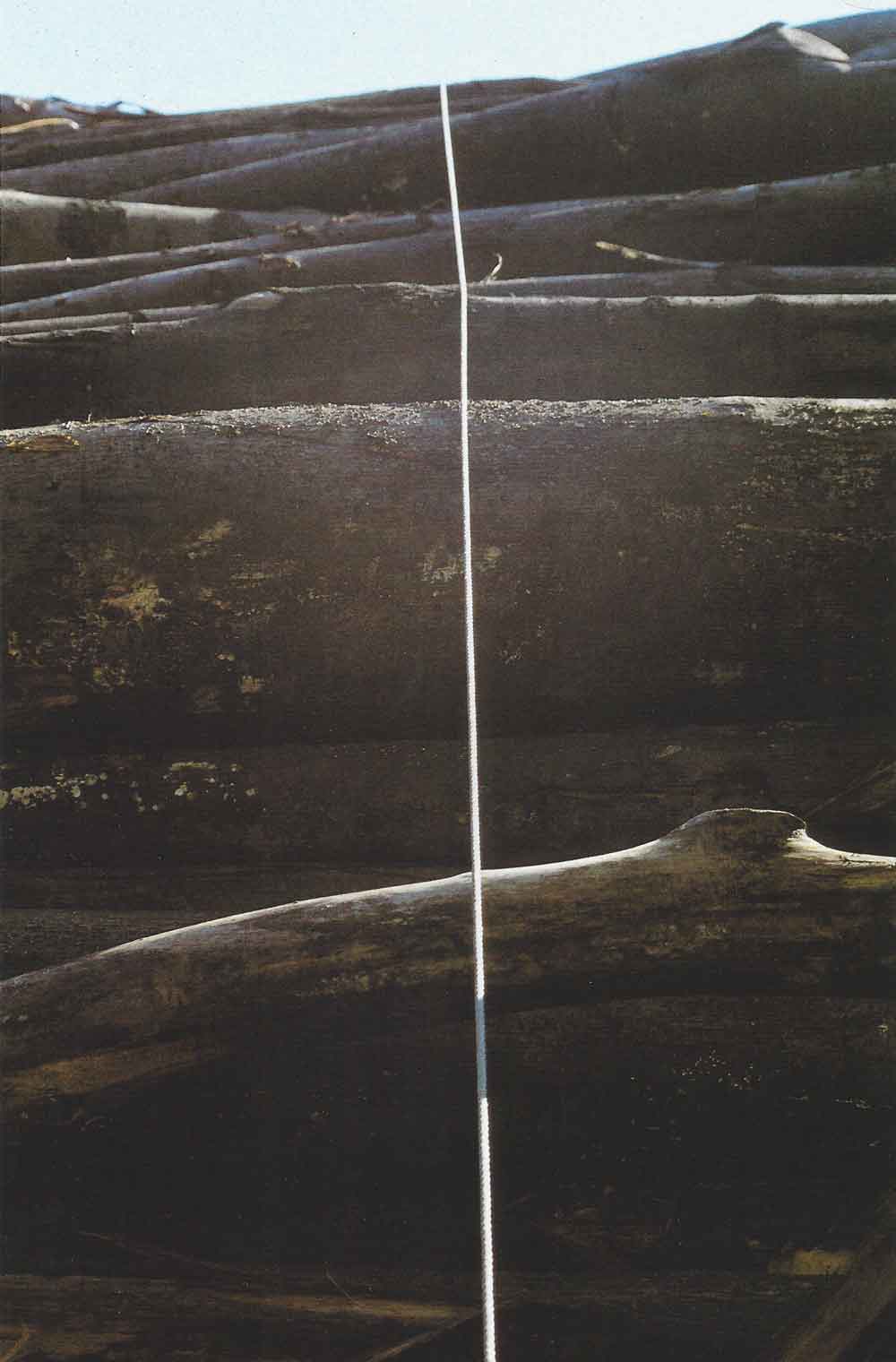 Scannen-2