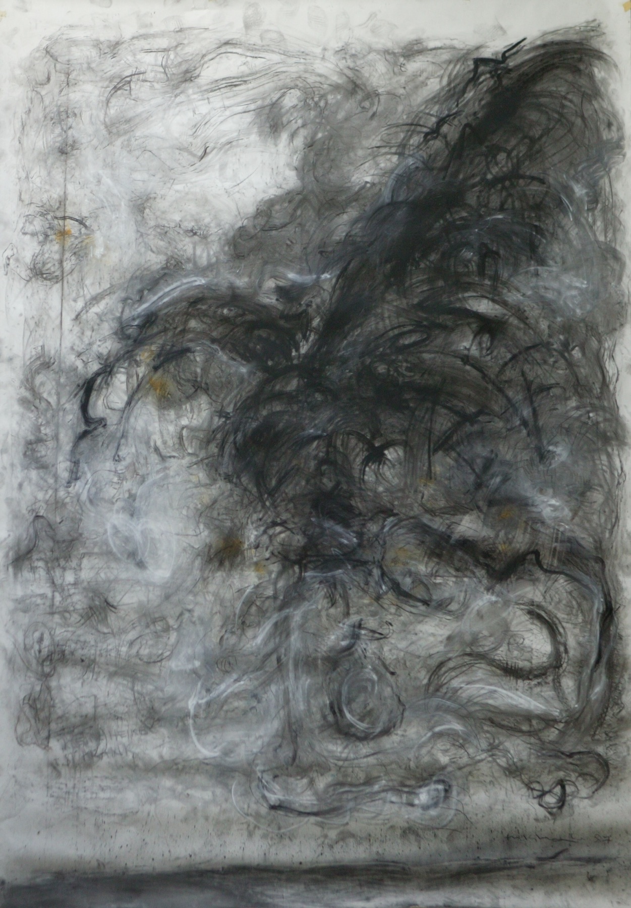 Adler IX