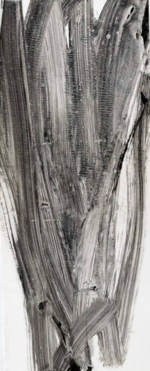 Trauerfeier einer Natur